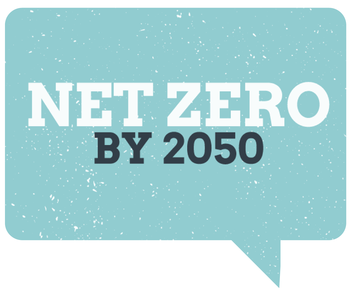 CCS Net Zero 2