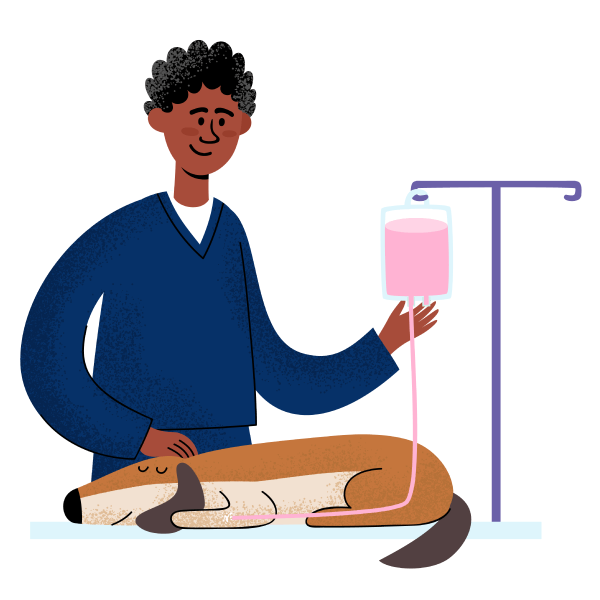Illustration of a veterinary professional caring for a dog receiving IV fluids, representing eLearning for Veterinary Receptionists in animal patient care.