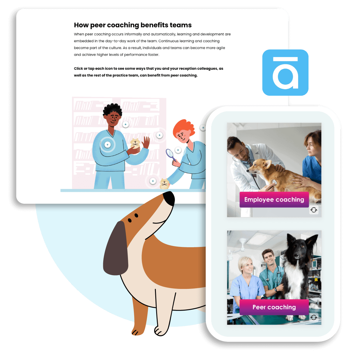 Infographic on peer coaching in vet practices with cartoon and real images, promoting team development through eLearning for Veterinary Receptionists.