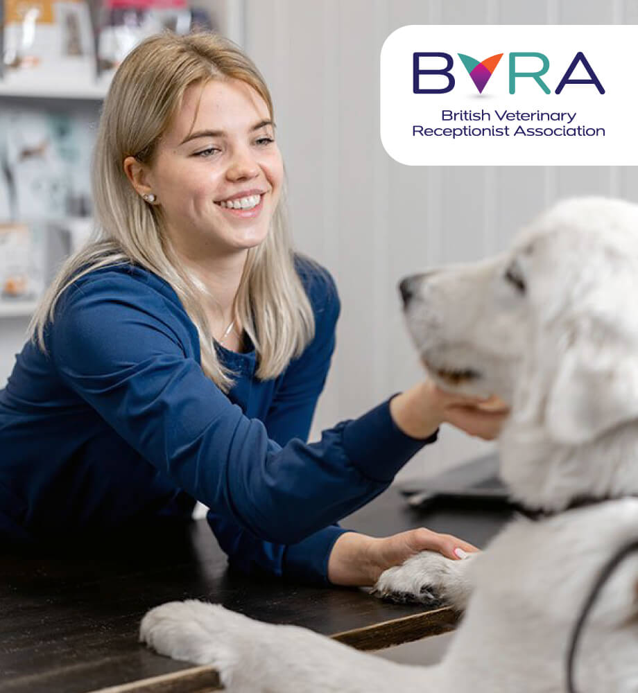 Veterinary receptionist warmly interacting with a white dog at the front desk, part of a training scene in eLearning for Veterinary Receptionists.