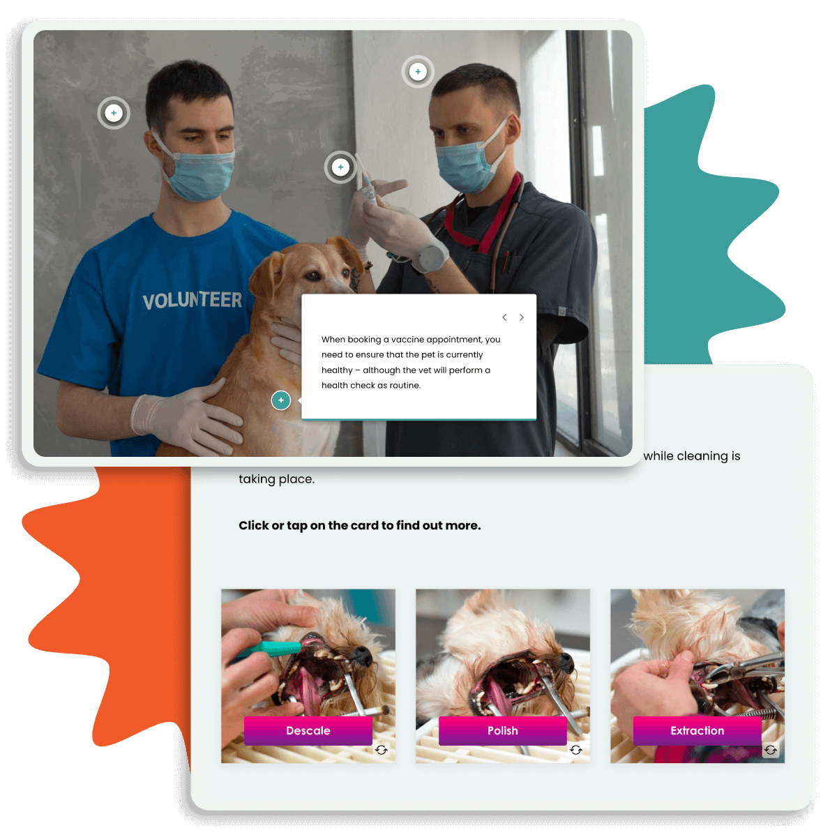 Veterinary team examining a dog and showcasing dental care procedures like descaling and polishing, used in eLearning for Veterinary Receptionists modules.